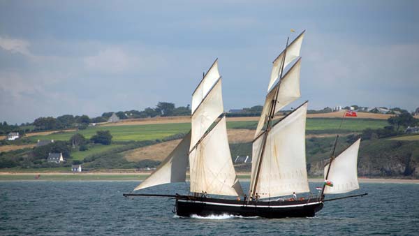 Grayhound, Volker Gries, Temps fete Douarnenez 2016 , 07/2016