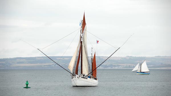 Biche, Volker Gries, Temps fete Douarnenez 2018 , 07/2018