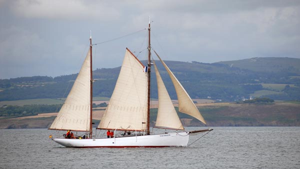 Saltillo, Volker Gries, Temps fete Douarnenez 2018 , 07/2018