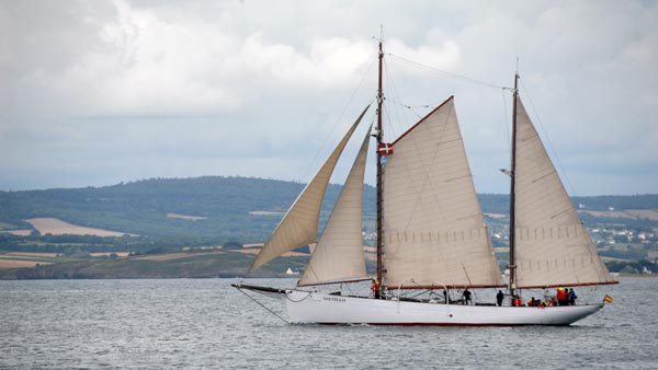 Saltillo, Volker Gries, Temps fete Douarnenez 2018 , 07/2018