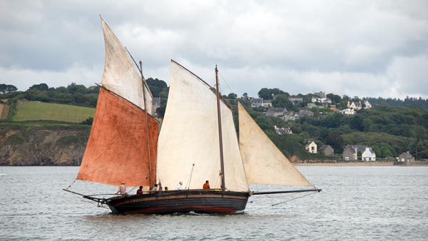 Rose of Argyll, Volker Gries, Temps fete Douarnenez 2018 , 07/2018