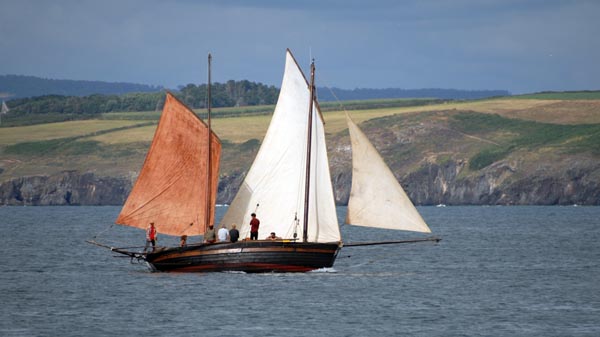 Rose of Argyll, Volker Gries, Temps fete Douarnenez 2018 , 07/2018