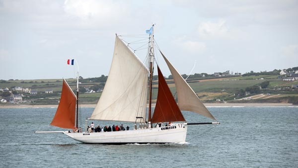 Biche, Volker Gries, Temps fete Douarnenez 2018 , 07/2018