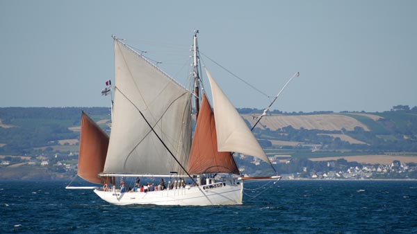 Biche, Volker Gries, Temps Fête Douarnenez 2022 , 07/2022