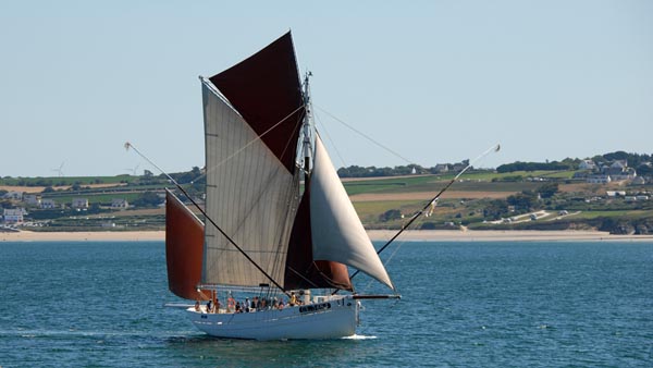 Biche, Volker Gries, Temps Fête Douarnenez 2022 , 07/2022