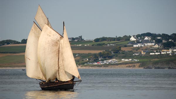 Guide Me, Volker Gries, Temps Fête Douarnenez 2022 , 07/2022