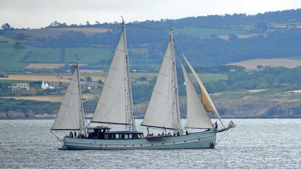 Rara Avis, Volker Gries, Fêtes Maritimes Douarnenez 2024 , 07/2024