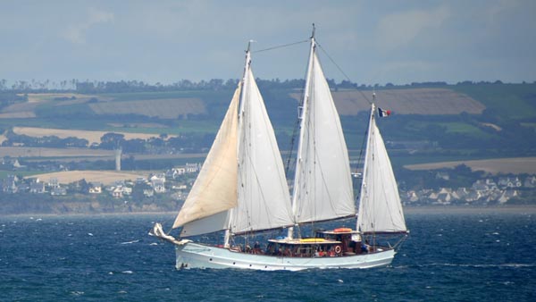 Rara Avis, Volker Gries, Fêtes Maritimes Douarnenez 2024 , 07/2024