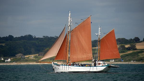 Fleur de Lampaul, Volker Gries, Fêtes Maritimes Douarnenez 2024 , 07/2024