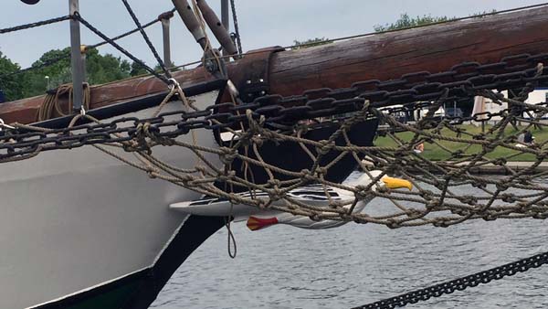 Albatros, Volker Gries, Greifswald , 06/2017