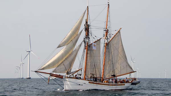 Anny of Charlestown, Volker Gries, Haikutter-Regatta 2018 , 08/2018