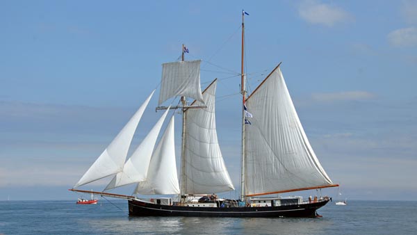 Wylde Swan, Volker Gries, Hanse Sail Rostock 2011 , 08/2011