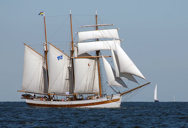 Vega, Volker Gries, Hanse Sail Rostock 2015 , 08/2015