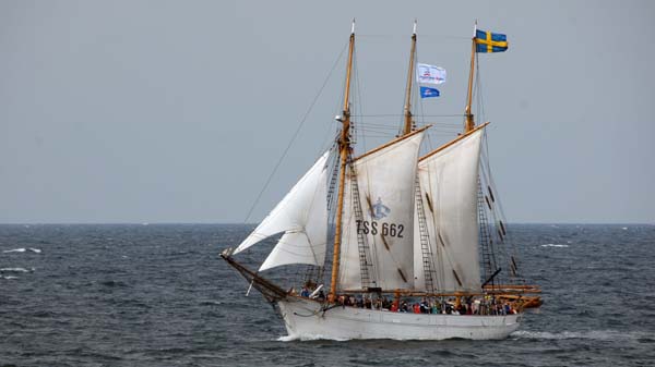 Ingo, Volker Gries, Hanse Sail Rostock 2017 , 08/2017