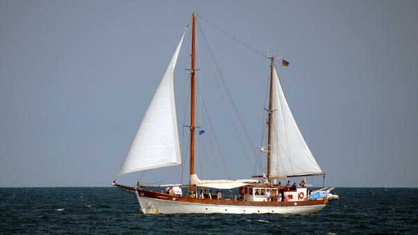 Freddy, Volker Gries, Hanse Sail Rostock 2018 , 08/2018