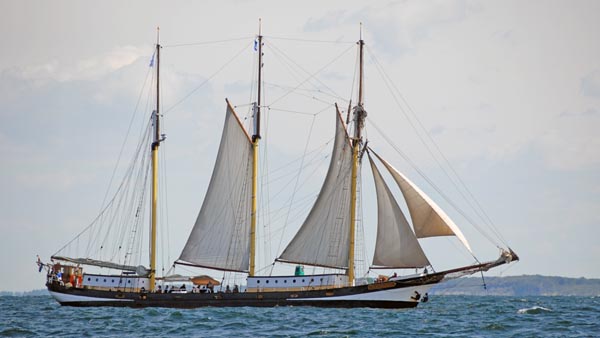 Swaensborgh, Volker Gries, Hanse Sail Rostock 2018 , 08/2018