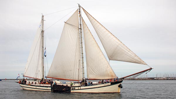 Elegant, Volker Gries, Hanse Sail Rostock 2019 , 08/2019