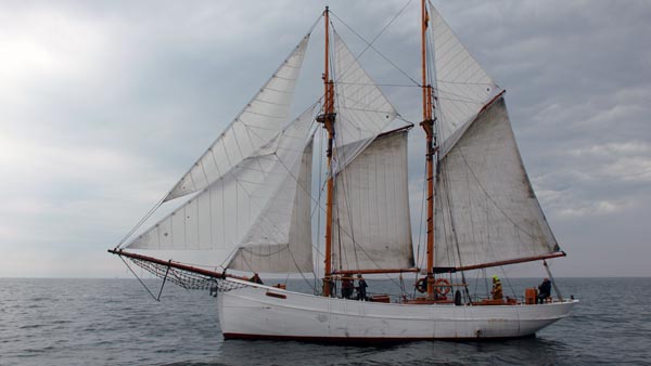 Nordwind, Volker Gries, Haikutter Regatta 2019 , 08/2019