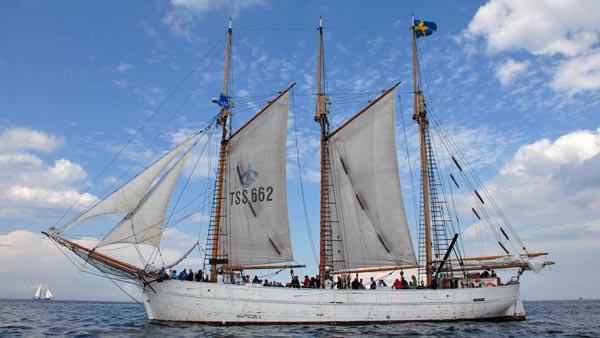 Ingo, Volker Gries, Hanse Sail Rostock 2021 , 08/2021