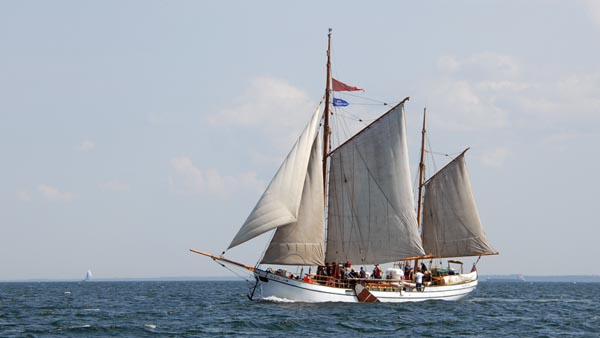 Berta, Volker Gries, Hanse Sail Rostock 2022 , 08/2022