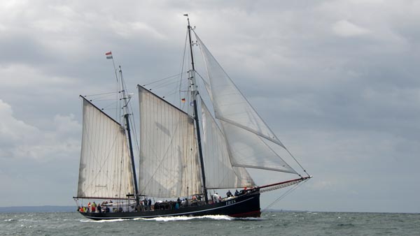 Iris, Volker Gries, Hanse Sail Rostock 2023 , 08/2023