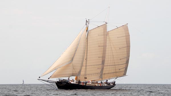 Skythia, Volker Gries, Hanse Sail Rostock 2025 , 08/2025