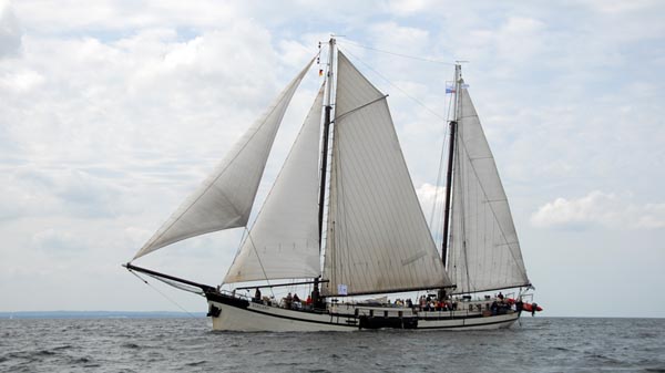 Elegant, Volker Gries, Hanse Sail Rostock 2025 , 08/2025