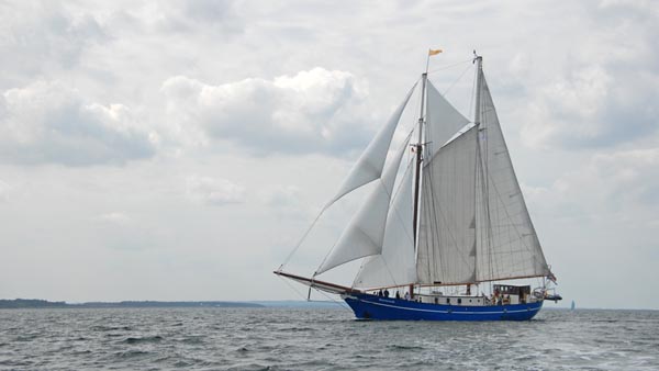 Stortemelk, Volker Gries, Hanse Sail Rostock 2025 , 08/2025