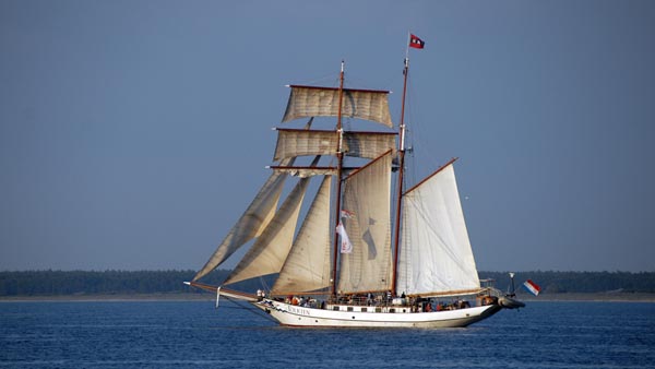 J.R.Tolkien, Volker Gries, Hanse Sail Rostock 2025 , 08/2025