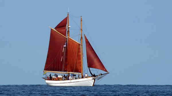 Mathilda af Mollösund, Volker Gries, Hanse Sail Rostock 2025 , 08/2025