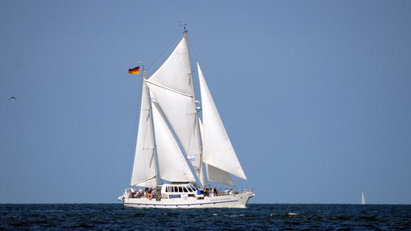 Wappen von Ueckermünde, Volker Gries, Hanse Sail Rostock 2025 , 08/2025