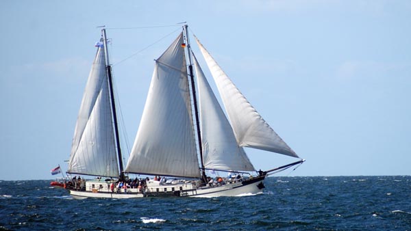 Elegant, Volker Gries, Hanse Sail Rostock 2025 , 08/2025