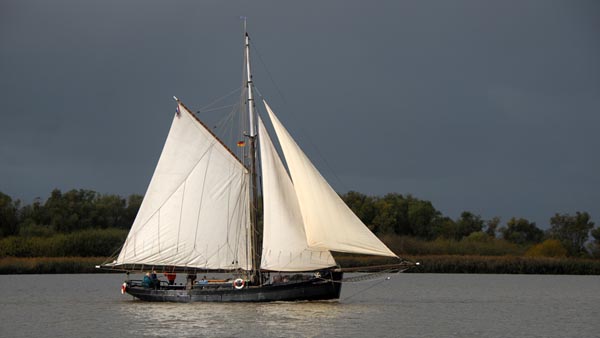 Elbe, Volker Gries, Rhinplatte Rund Glückstadt 2024 , 09/2024