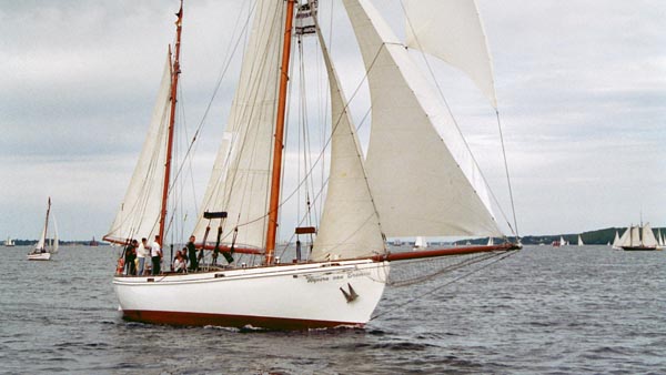 Wyvern af Aalesund, Volker Gries, Rum-Regatta 2001 , 05/2001