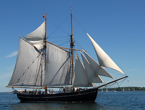 er der Transformer konkurrenter Jagtskonnert (Jagtschoner) Brita Leth: data, photos, videos, history of the  sailing ship