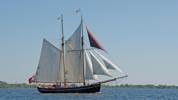 Halmø, Volker Gries, Rum-Regatta 2017 , 05/2017