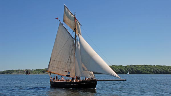 Viking, Volker Gries, Rum-Regatta 2017 , 05/2017