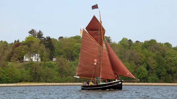 Aurora von Altona, Volker Gries, Rum-Regatta 2018 , 05/2018