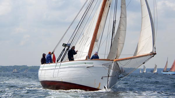 Fauna, Volker Gries, Rum-Regatta 2018 , 05/2018