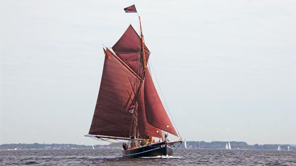 Aurora von Altona, Volker Gries, Rum-Regatta 2018 , 05/2018