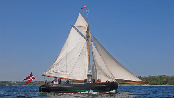 Viking, Volker Gries, Rum-Regatta 2018 , 05/2018