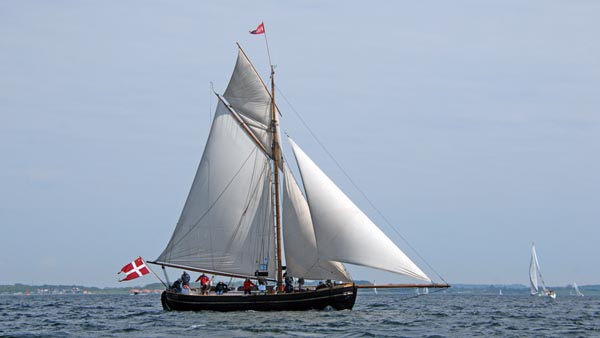 Viking, Volker Gries, Rum-Regatta 2018 , 05/2018