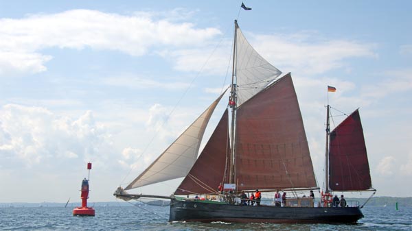 Seestern, Volker Gries, Rum-Regatta 2018 , 05/2018