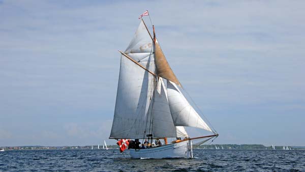 Fauna, Volker Gries, Rum-Regatta 2018 , 05/2018