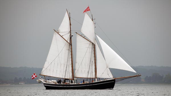 Mira, Volker Gries, Rum-Regatta 2019 , 05/2019