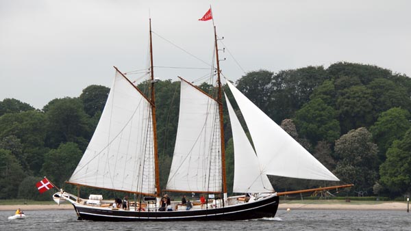 Mira, Volker Gries, Rum-Regatta 2019 , 05/2019