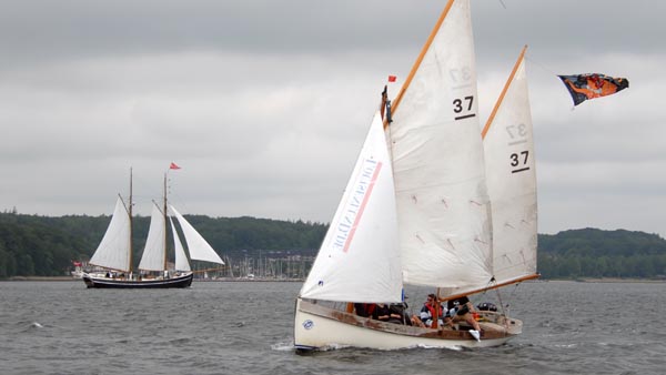 Louisenlund II, Volker Gries, Rum-Regatta 2019 , 05/2019