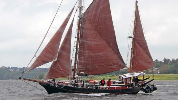 Thordis, Volker Gries, Rum-Regatta 2019 , 06/2019