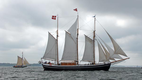 Fylla, Volker Gries, Rum-Regatta 2019 , 05/2019