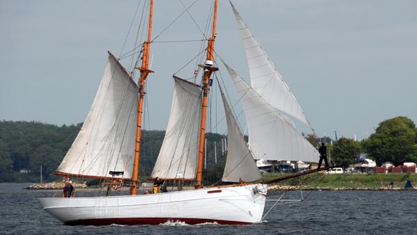 Nordwind, Volker Gries, Rum-Regatta 2019 , 05/2019